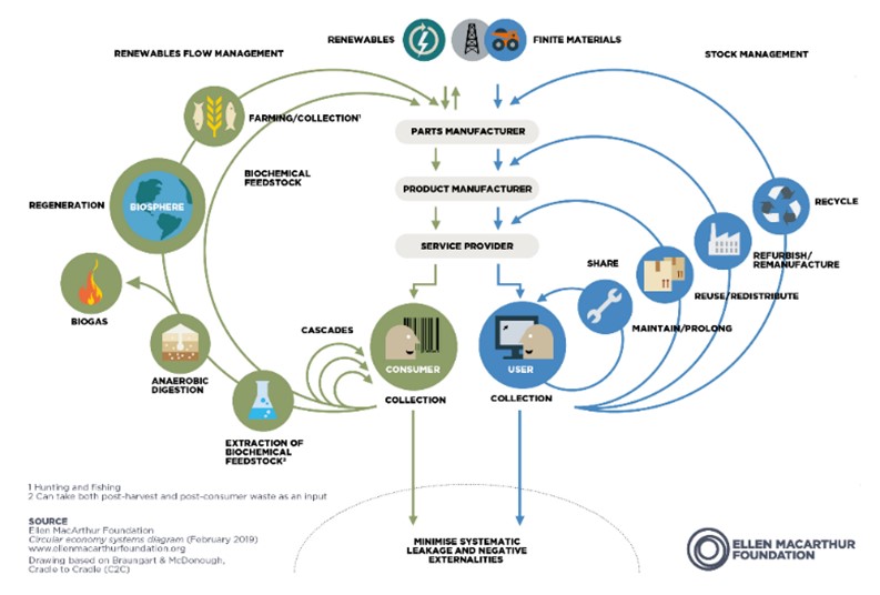 how-does-energy-flow-through-an-ecosystem-answers-cloudshareinfo