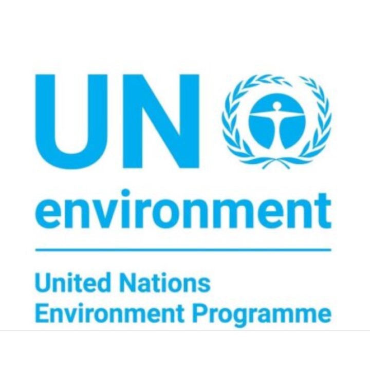 United Nations Environment Programme (UNEP) - CE Hub